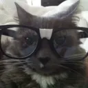 itsmauzy