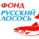 avatar Фонд "Русский Лосось"
