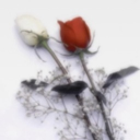 avatar folvixiii =((((