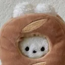 greedyteddy