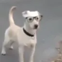 averycoolguylol