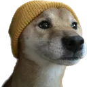 perytt
