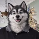 doohboy