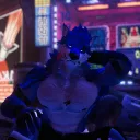 fangonvr