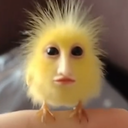 driftzoid's Avatar