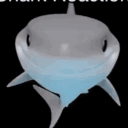 anonymousshark