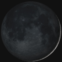 avatar nebelz🦔🎀