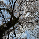 rourourorous
