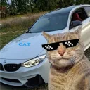 cat_010_