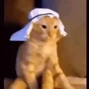 mario7739