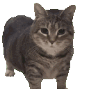 earlam