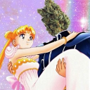 avatar ᓚ₍ ^. .^₎