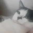 hecko0215