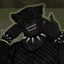tykeitheraijin