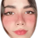minnikoh