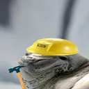 thatfooltobias