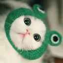 nekogodzima