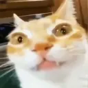 midasangelo