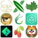 chia_forks
