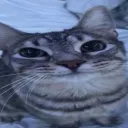 oofv.r