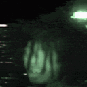 mistermuddymosley
