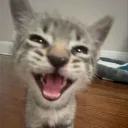 luvinek