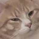 avatar 🕸 | Extacy | 🕸