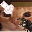 clickersunny23