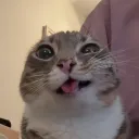 x_14