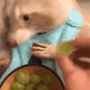 prehistoricgrape