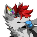 acethespacedog