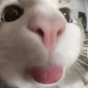 babytabbypuff