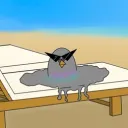 zingyb