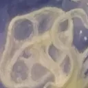 sapurimovwxyza648204