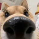 xsleepyjilx
