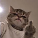 lukas_pacinos