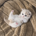 avatar ! Raynaᰔᩚ