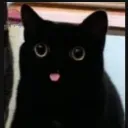 bungeehehe