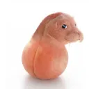 .cargol