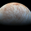 quantumimmortality