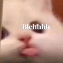 avatar ALCOHOLIC VACUUM