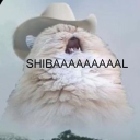 avatar ALCOHOLIC VACUUM