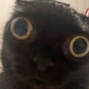 onerudenoob's Avatar