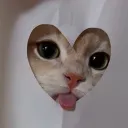 ppau.lpz