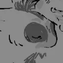 thatdumbfuckraccoon