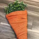 shabbycarrott