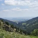 korvus24