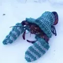 conga_man