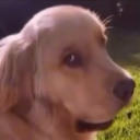 aidoonsarms's Avatar