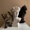 ishuleo